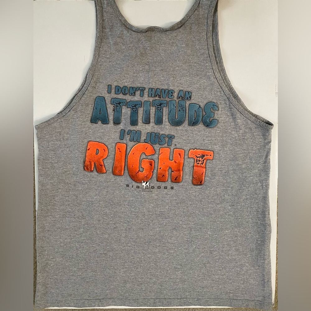 VINTAGE Big Dogs Tank Top Adult L Gray Men's Santa Barbara made in USA